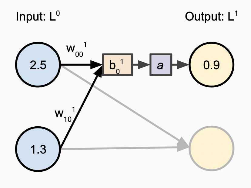 Basic Neuron Operation